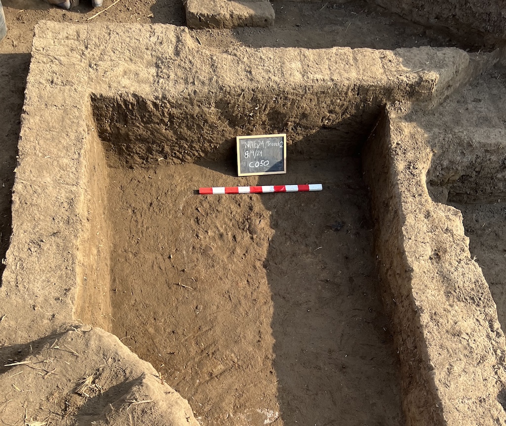 Excavation trench showing mudbrick layers and a foundation wall at Tell al-Faraun.