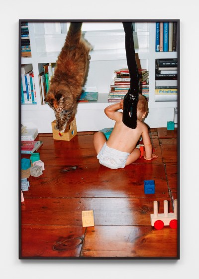 A photograph depicts a baby playing on the floor while a cat leaps from a windowsill.
